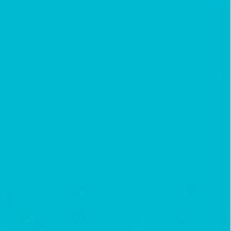 Lunch Napkins - Caribbean - 20