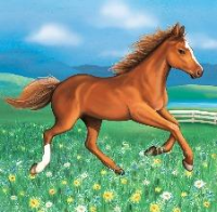 My Horse Beverage Napkins