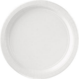 Plates - Paper - Frosty White - 9" - 24
