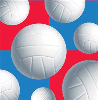 All Star Volleyball Lunch Napkins