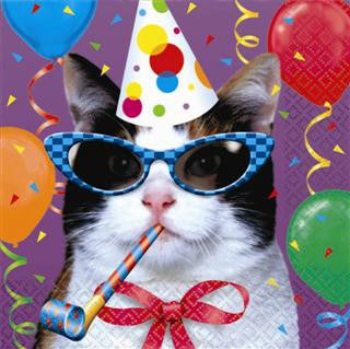 Cat's Meow - Lunch Napkins - Birthday