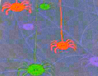 Halloween Spider Frenzy Lunch Napkins